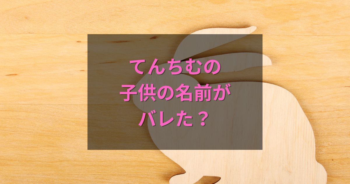 てんちむの子供の名前がYouTubeでバレた？